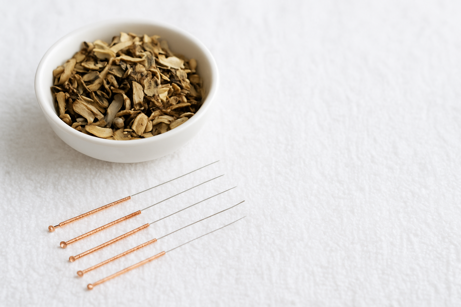 鍼灸 - acupuncture needles
