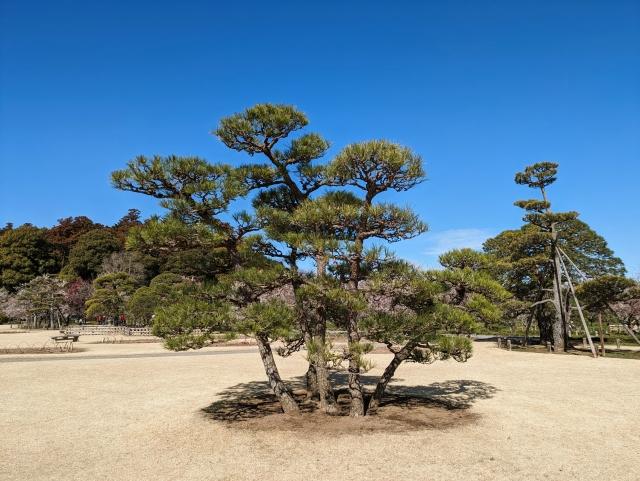 茨城県の企業向け！集客に繋がるホームページの作り方とポイント | how-about.jp