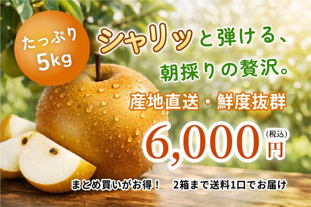 鎌ヶ谷市で事業を営む皆様へ。ホームページの集客効果に悩んでいませんか？本記事では、地域密着型ビジネスの成功に不可欠な「スマホ最適化ホームページ」の秘訣を徹底解説。ロードサイド店舗や農園の魅力を最大限に引き出し、地図SEO対策で地域住民に選ばれるサイトを構築し、継続的な運用でファンを増やす方法をご紹介します。高品質なホームページを低価格で提供し、手間なく運用をサポートするHow about ? のサービスについても触れ、皆様のビジネス成長を後押しします。